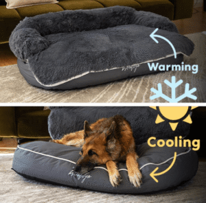 https://bulletinnewsdaily.net/the-ultimate-guide-to-choosing-a-chew-proof-dog-bed-for-aggressive-chewers/