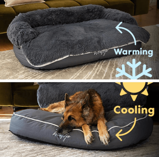https://bulletinnewsdaily.net/the-ultimate-guide-to-choosing-a-chew-proof-dog-bed-for-aggressive-chewers/